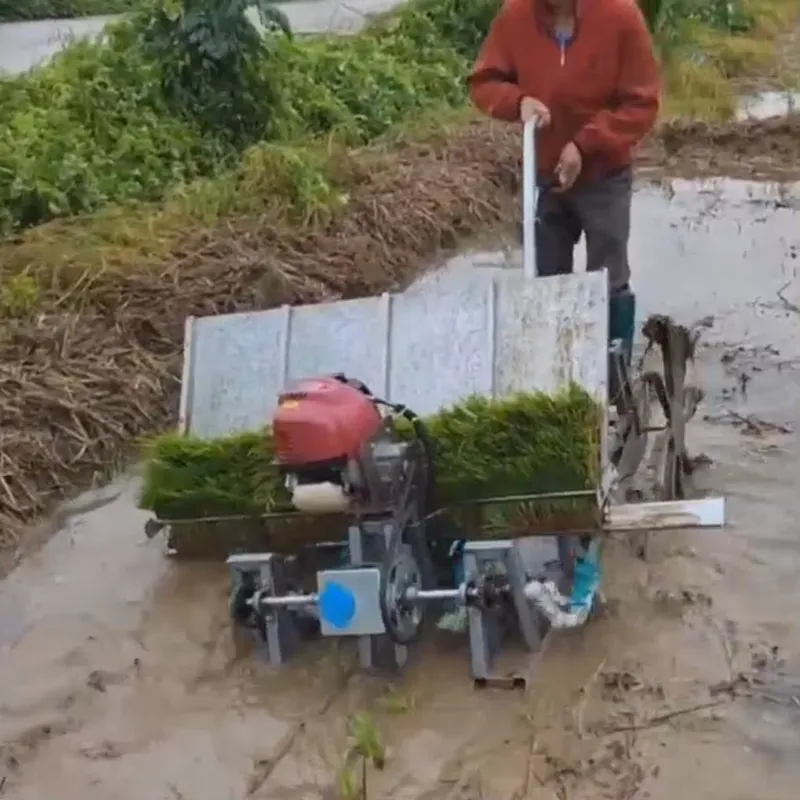 Transplanteuse/Planteuse de ri - Agriculture Farming Rice avis et prix